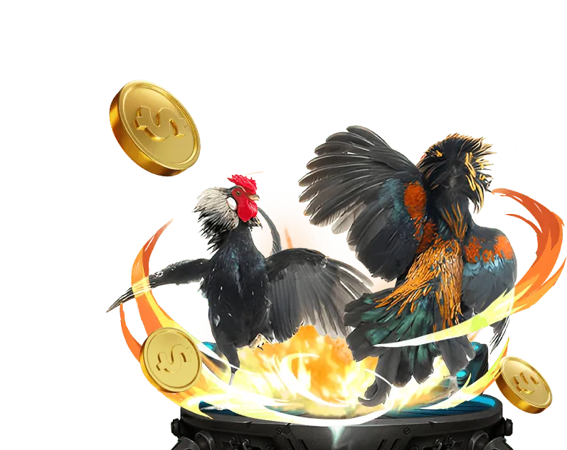 Cá Cược Bóng Rổ